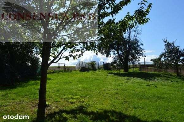 Dom w zacisznej okolicy koło Białej-5