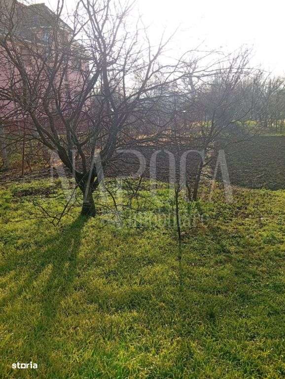 Teren intravilan pentru constructii de vanzare in Podgoria Oradea, Or - Imagine principală: 3/4