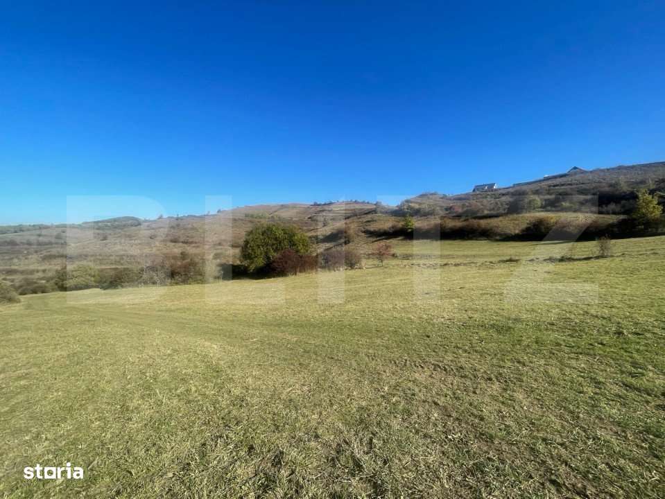 Exclusivitate ! Teren extravilan pretabil pentru constuctia unei caban - Imagine principală: 5/7