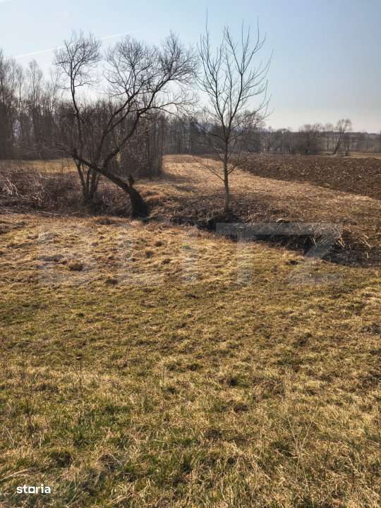 Teren extravilan de vanzare, 40 ARI, zona Racsa - Imagine principală: 4/6