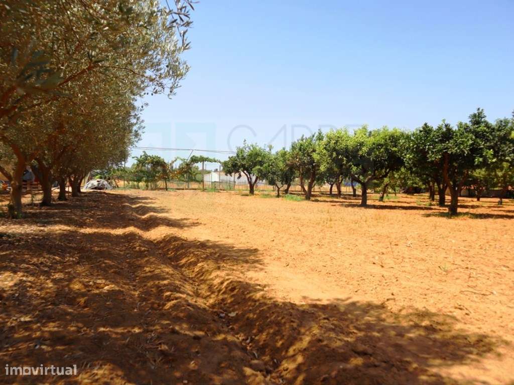 Quinta T4, em Luz de Tavira-49