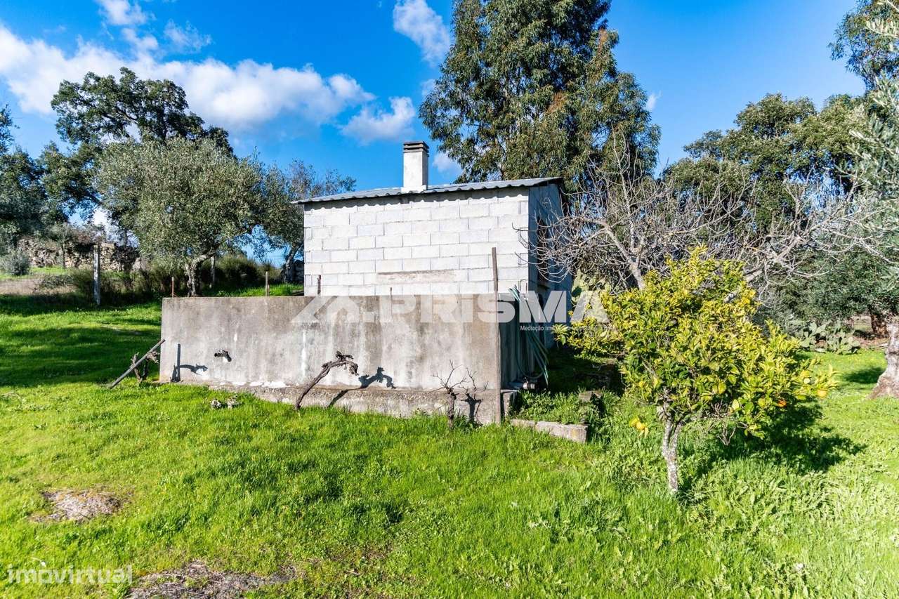 Quinta para venda em Escalos de Cima-26