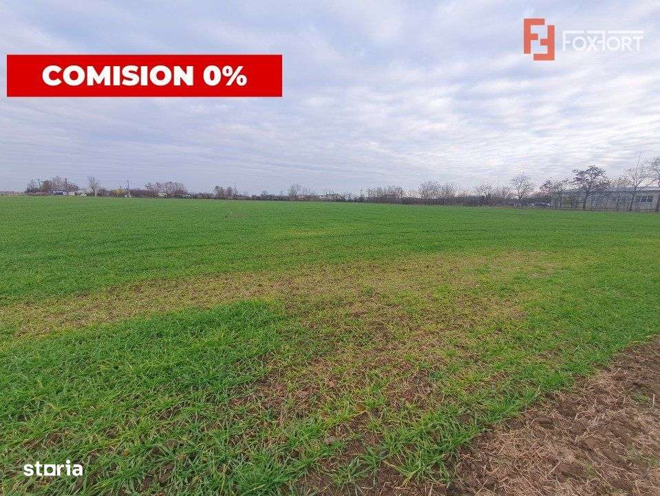 Comision 0% Teren extravilan agricol 21,32 ha sau intravilan cu PUZ ap - Imagine principală: 3/19