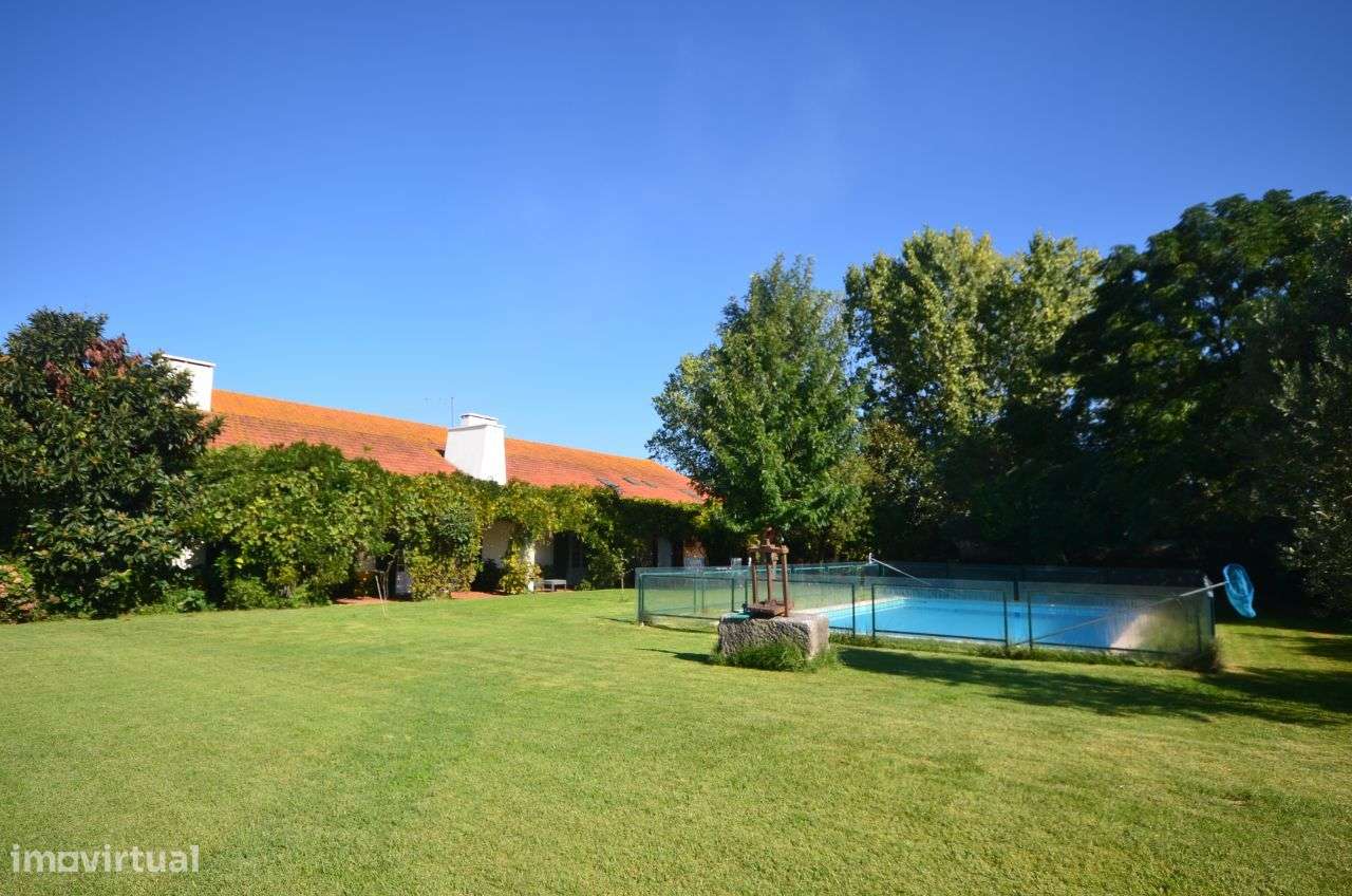 Quinta Olival das Moitas - Benfica do Ribatejo - Grande imagem: 1/20