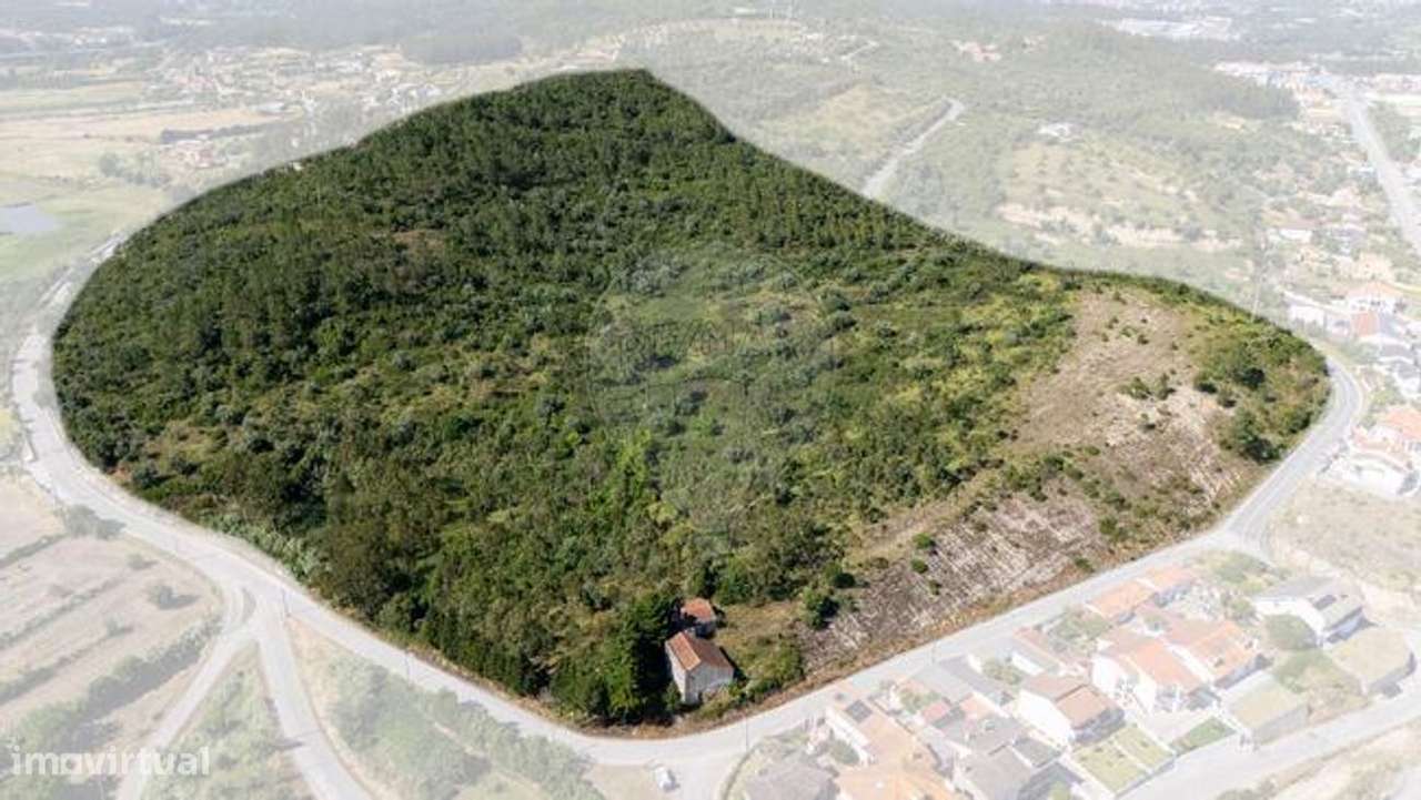 Terreno  para venda - Grande imagem: 5/7