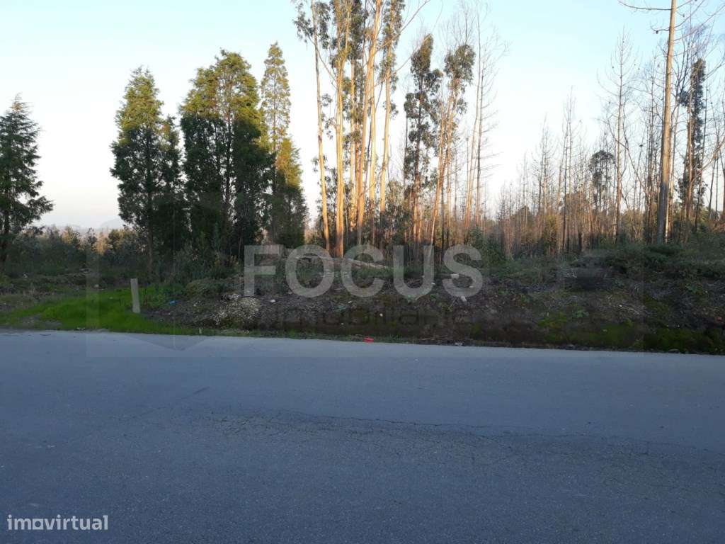 Terreno para loteamento Aveiro - Nariz - Grande imagem: 2/4