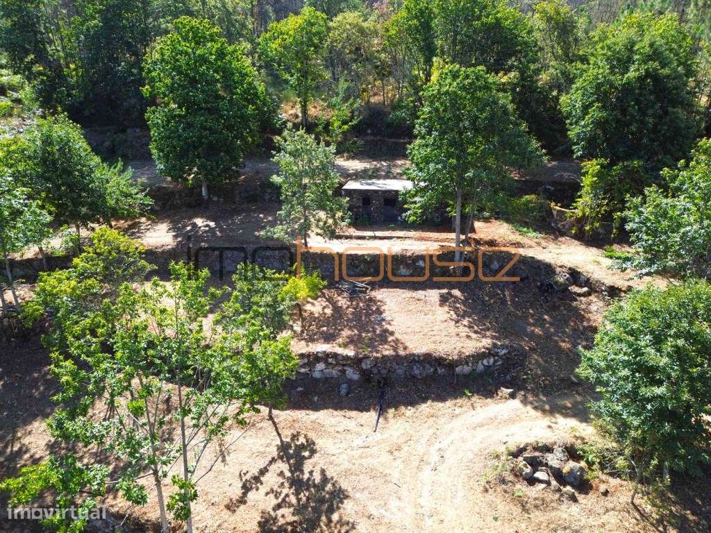 Quinta de 2ha com vista panorâmica - Freigil-13