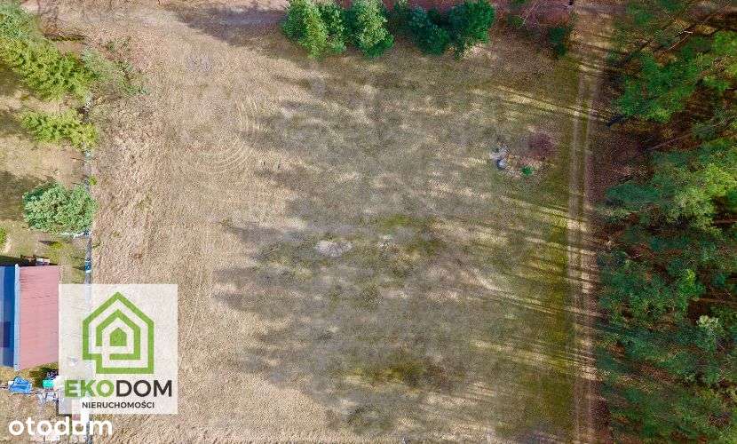 Dwie malownicze  działki pod lasem 1017 i 1957 m2 / Panoszów-12