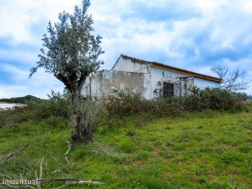 QUINTA COM 5HA DE TERRENO COM 500M2 URBANO - GALVEIAS - PONTE DE SOR-32