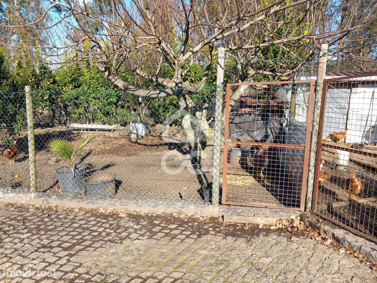 Moradia Totalmente em Pedra em Revelhe (Fafe)  Excelente oportunidade-31