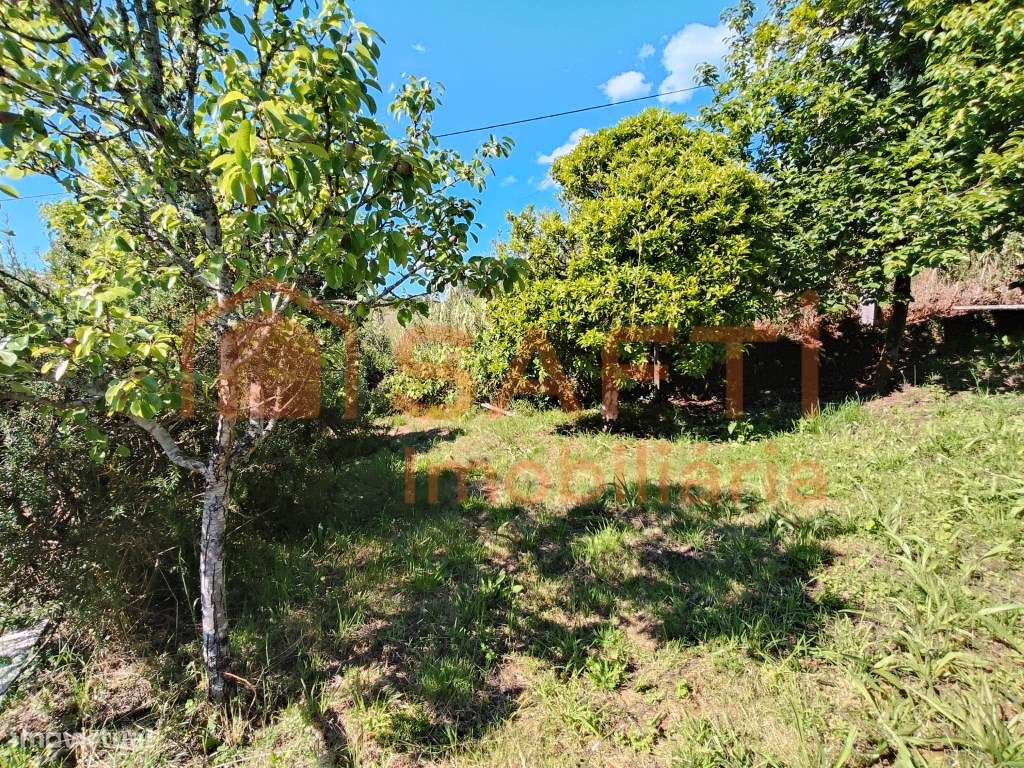 MORADIA T2 COM ANEXOS, POÇO, TANQUE DE REGA E E TERRENO DE CULTIVO.-29