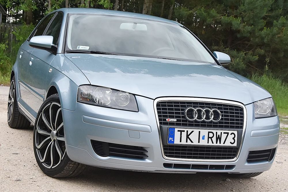Audi A3 8P 1.9 TDI Ambition 2006
