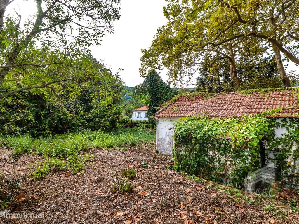 Moradia para reconstrução em Colares-6