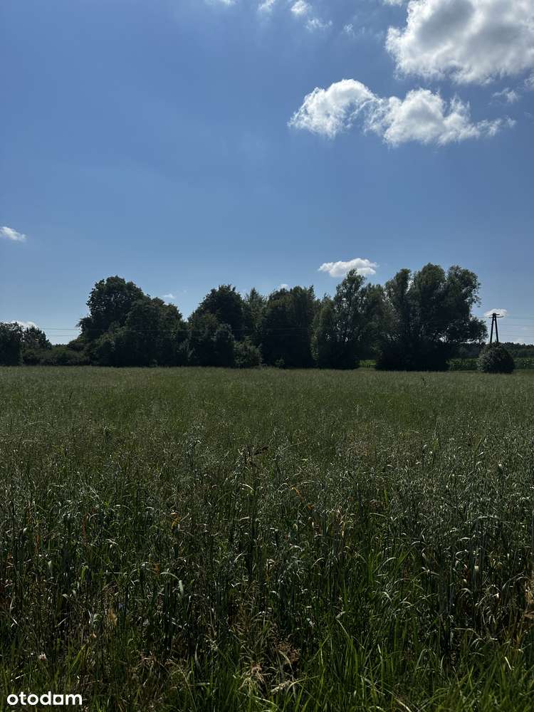 Urokliwa działka budowlana 6269 m² | Cisza, spokój i natura! - Pełny obrazek: 1/3