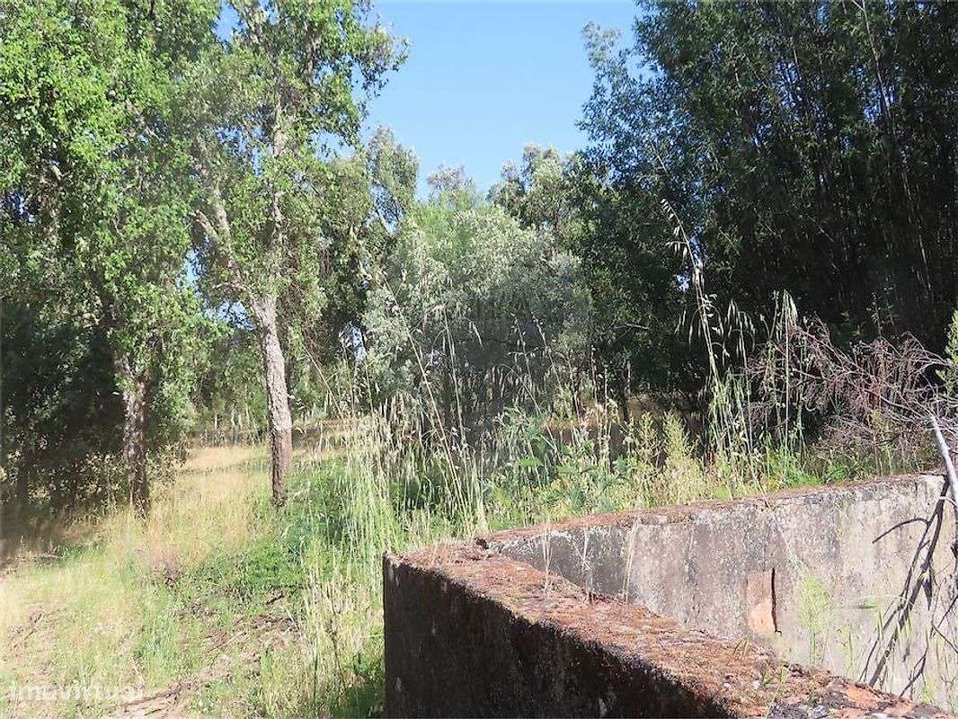 Quinta  para venda-5