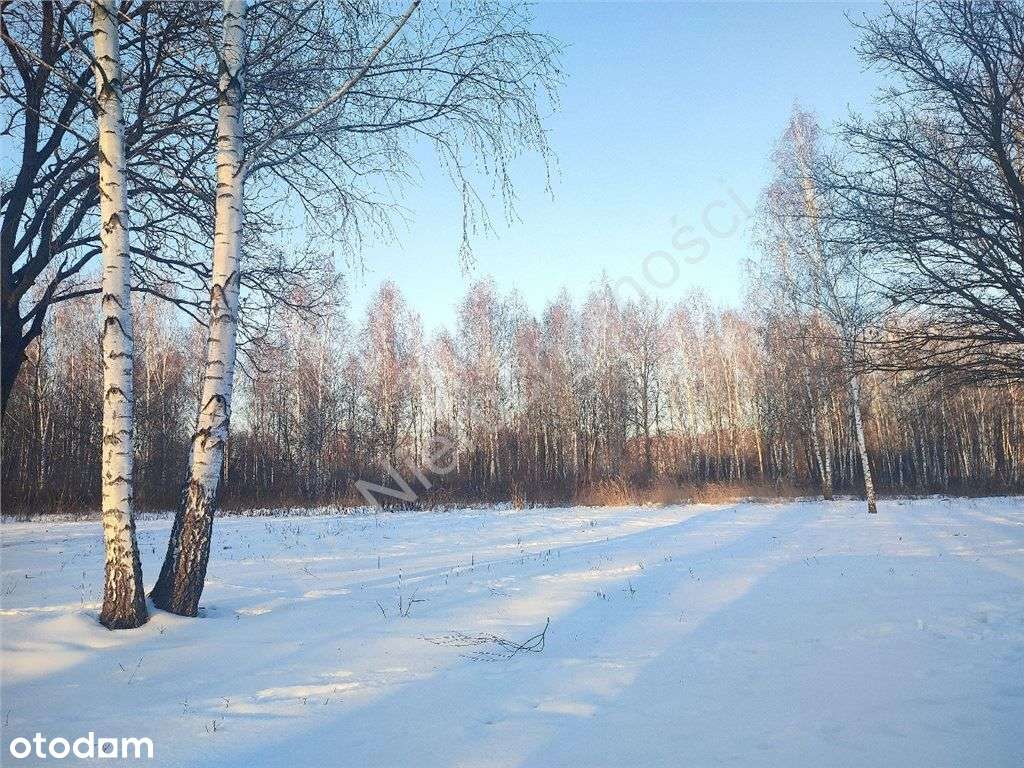 Duże działki na osiedlu przy lesie z Wz-4