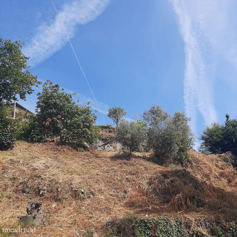 Casa em pedra para reconstruir Canelas Penafiel-14