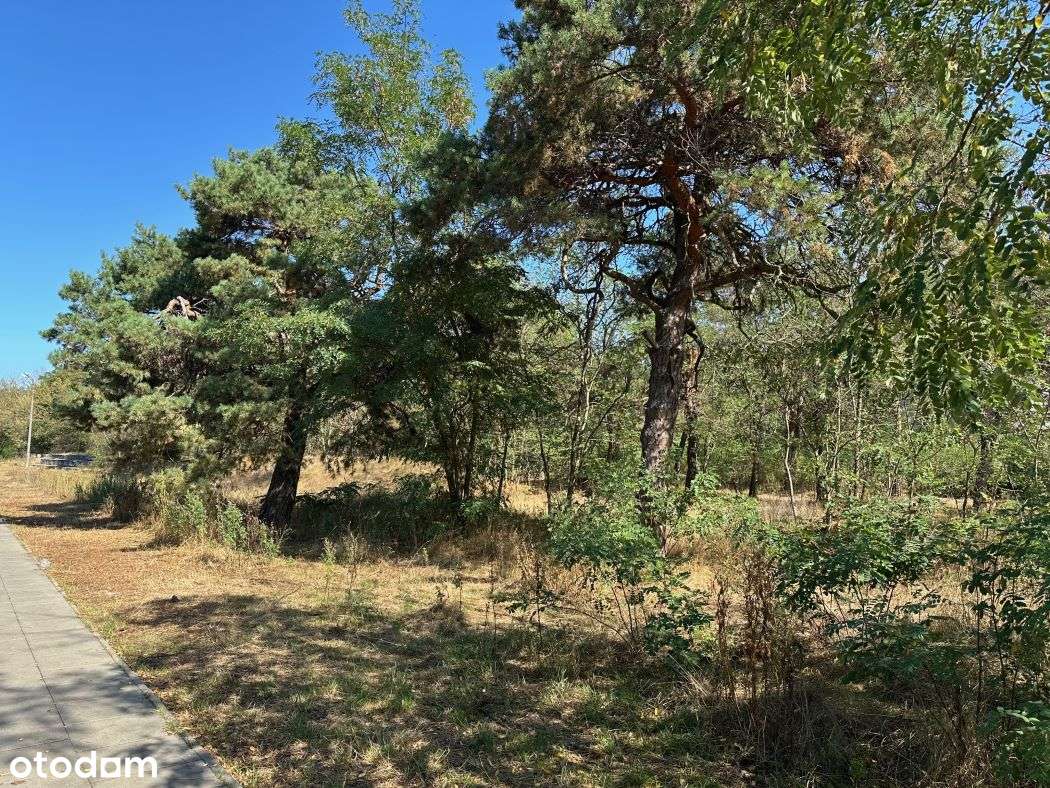 Działka dla dewelopera w doskonałej lokalizacji 0%-4