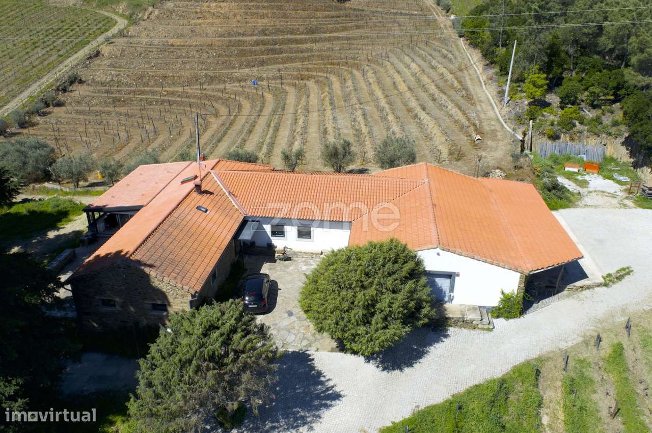 Quinta com 14 Hectares em Pleno Douro Vinhateiro - Grande imagem: 1/60
