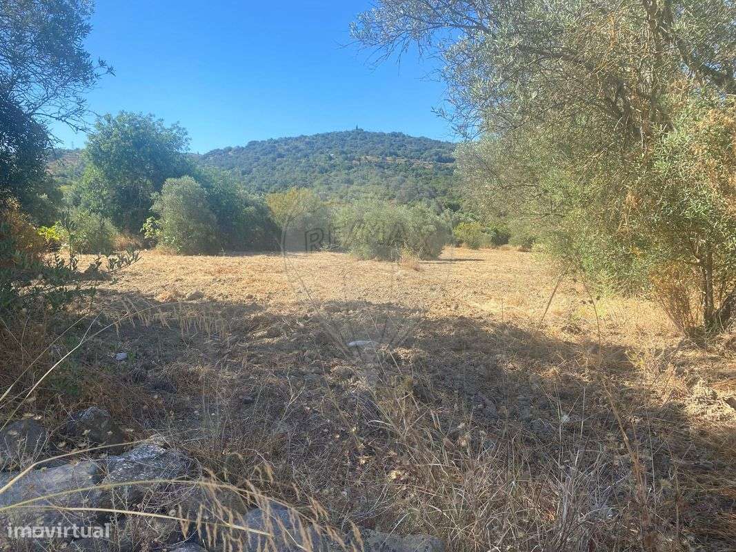 Terreno  para venda - Grande imagem: 3/17