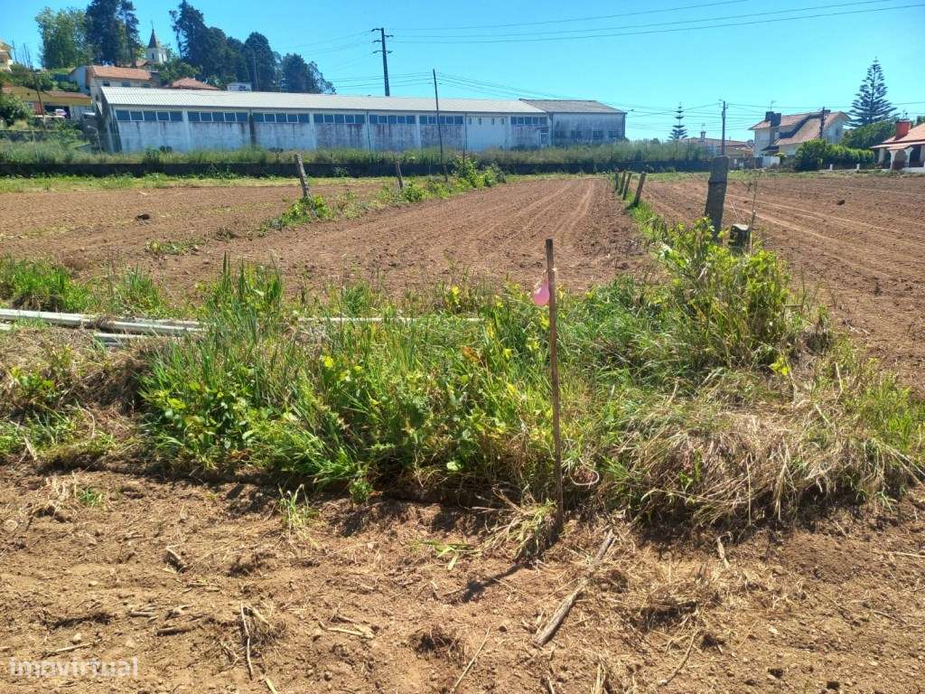 Terreno urbanizável com 19 m de frente- Branca / Albergaria-a-Velha-6