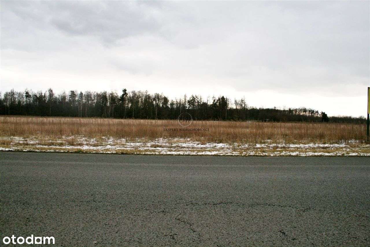 Działka inwestycyjna 9631m2 produkcyjno-usługowa - Pełny obrazek: 4/5