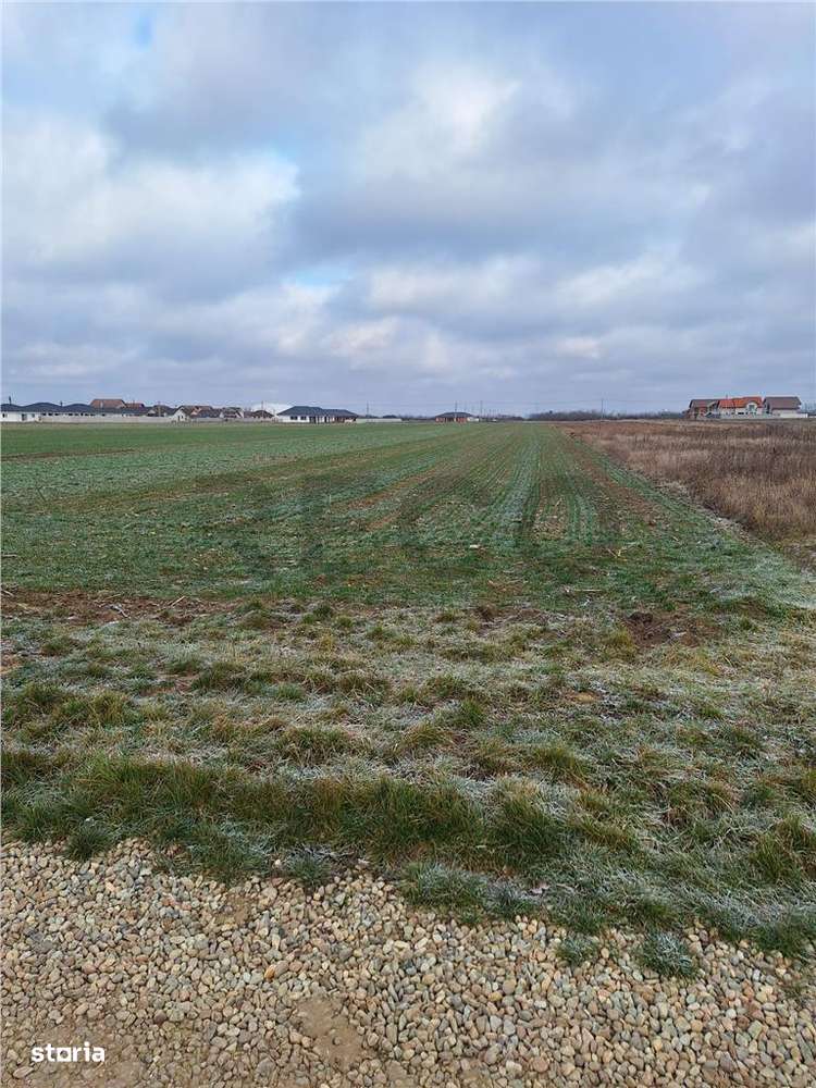 Reco, teren intravilan Nojorid - Imagine principală: 5/8