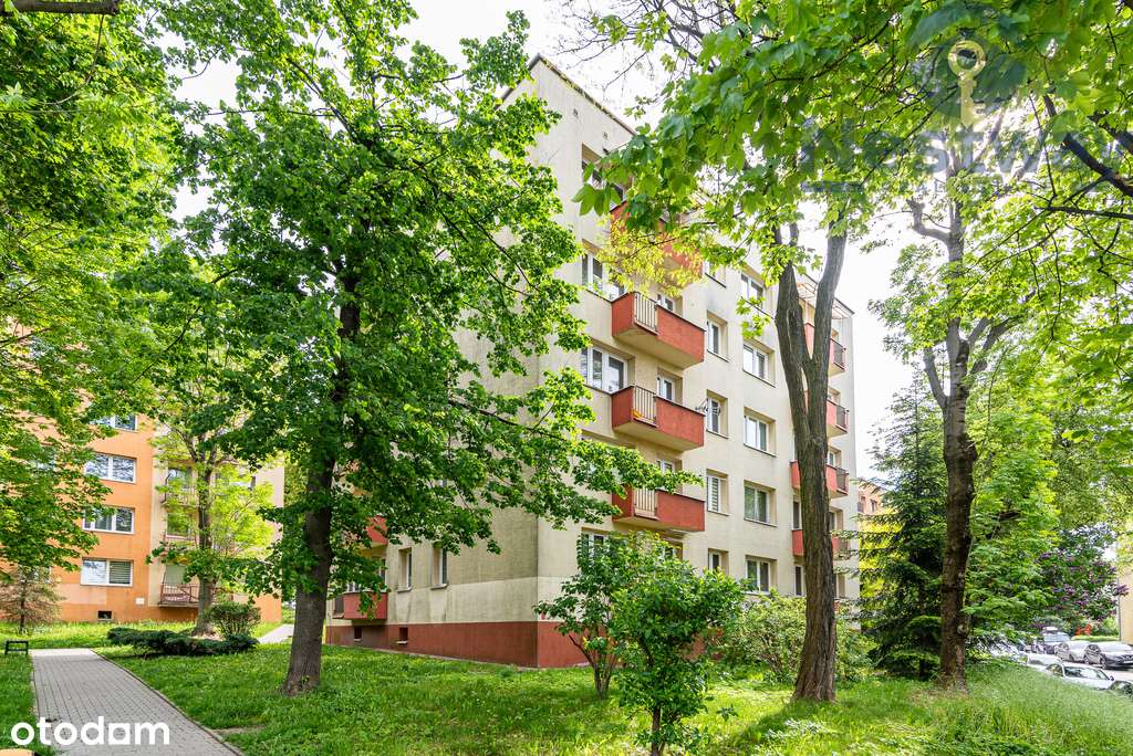 Os. Henryka Sienkiewicza|53,14mkw| 3 Pokoje-13