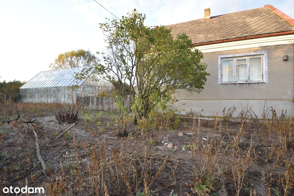 Duża działka  z domem murowanym na ulicy Akacjowej - Pełny obrazek: 4/8