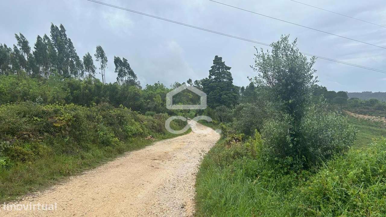 Terreno urbano para construção, com 22.539 m2 junto á IC2, em Antanhol - Grande imagem: 3/12