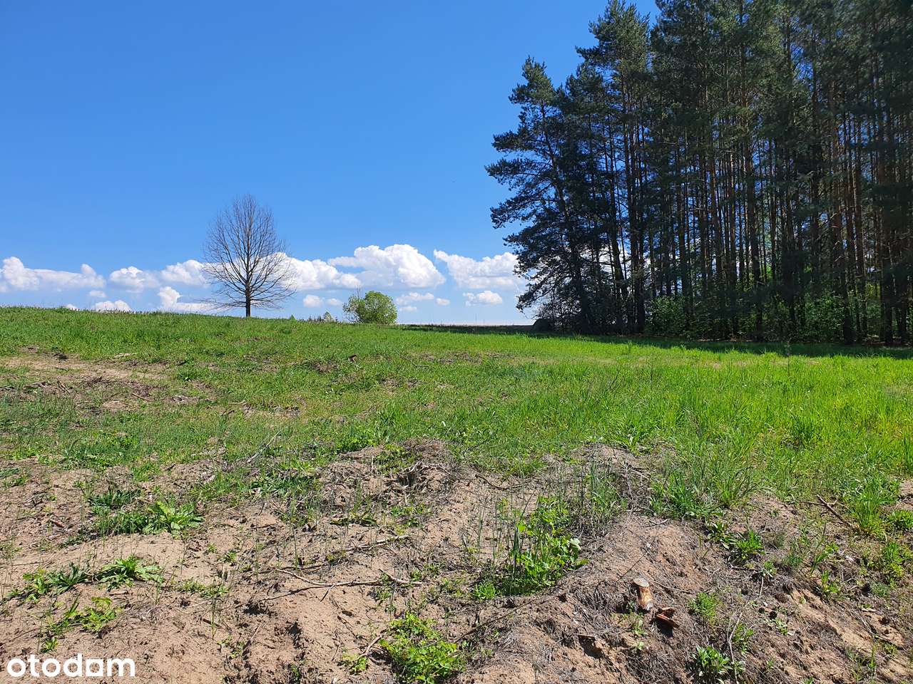 PIĘKNIE POŁOŻONE DZIAŁKI BUDOWLANE! * TYLKO 15 min. do Białegostoku!-5