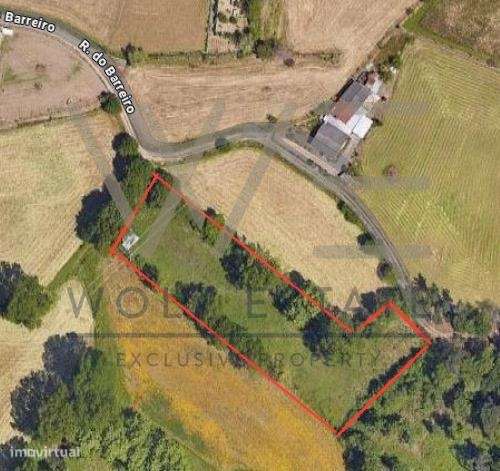 Terreno Rústico  Venda em Celeirós, Aveleda e Vimieiro,Braga - Grande imagem: 5/5