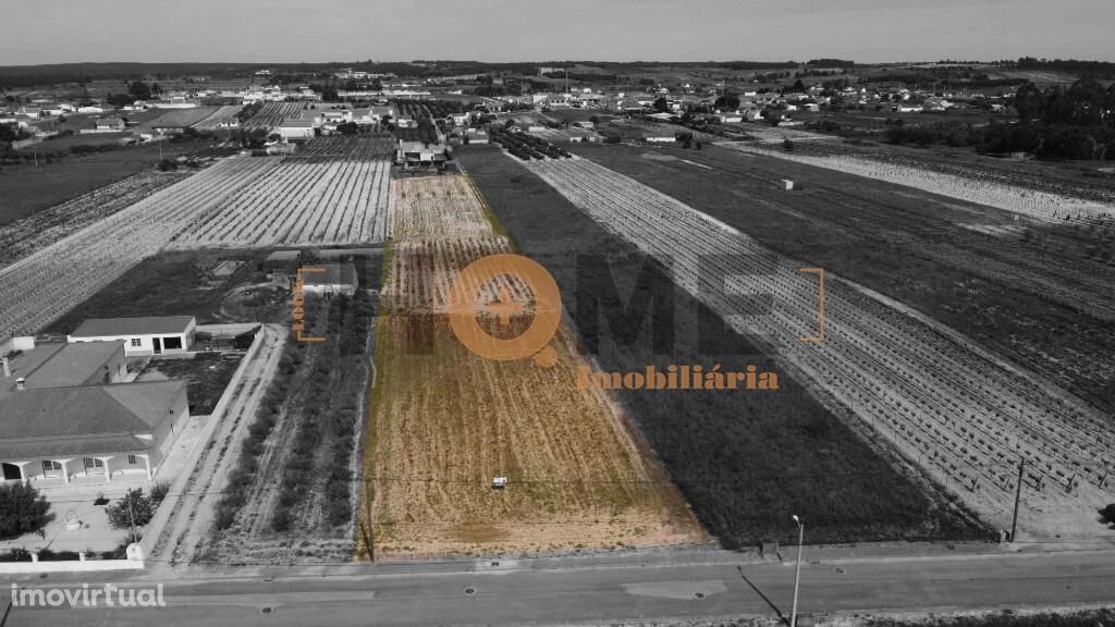 Terreno no Frade de Cima, Alpiarça