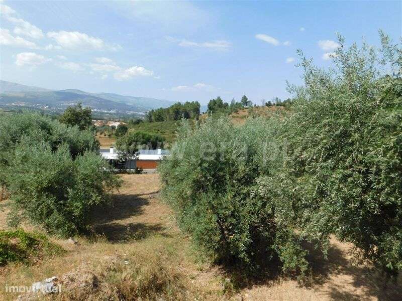 Terreno / Fundão, Alcaria - Grande imagem: 2/5
