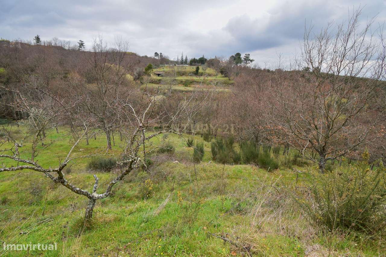Quinta com construção em Pedra 20.000 m2 de terreno e Licença de Aloja-37