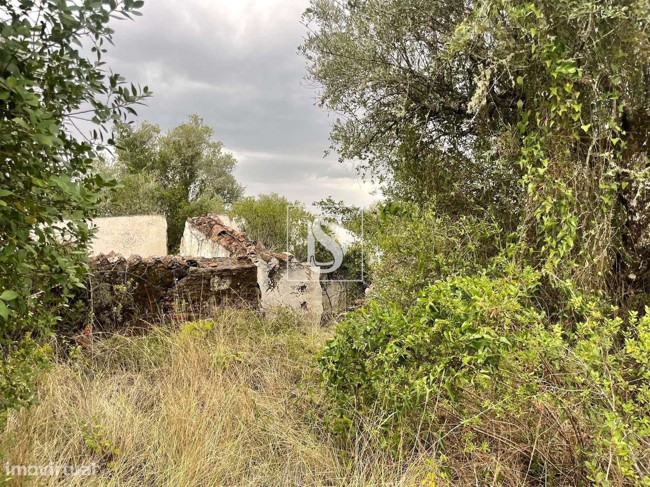 Quintinha em Montargil-29