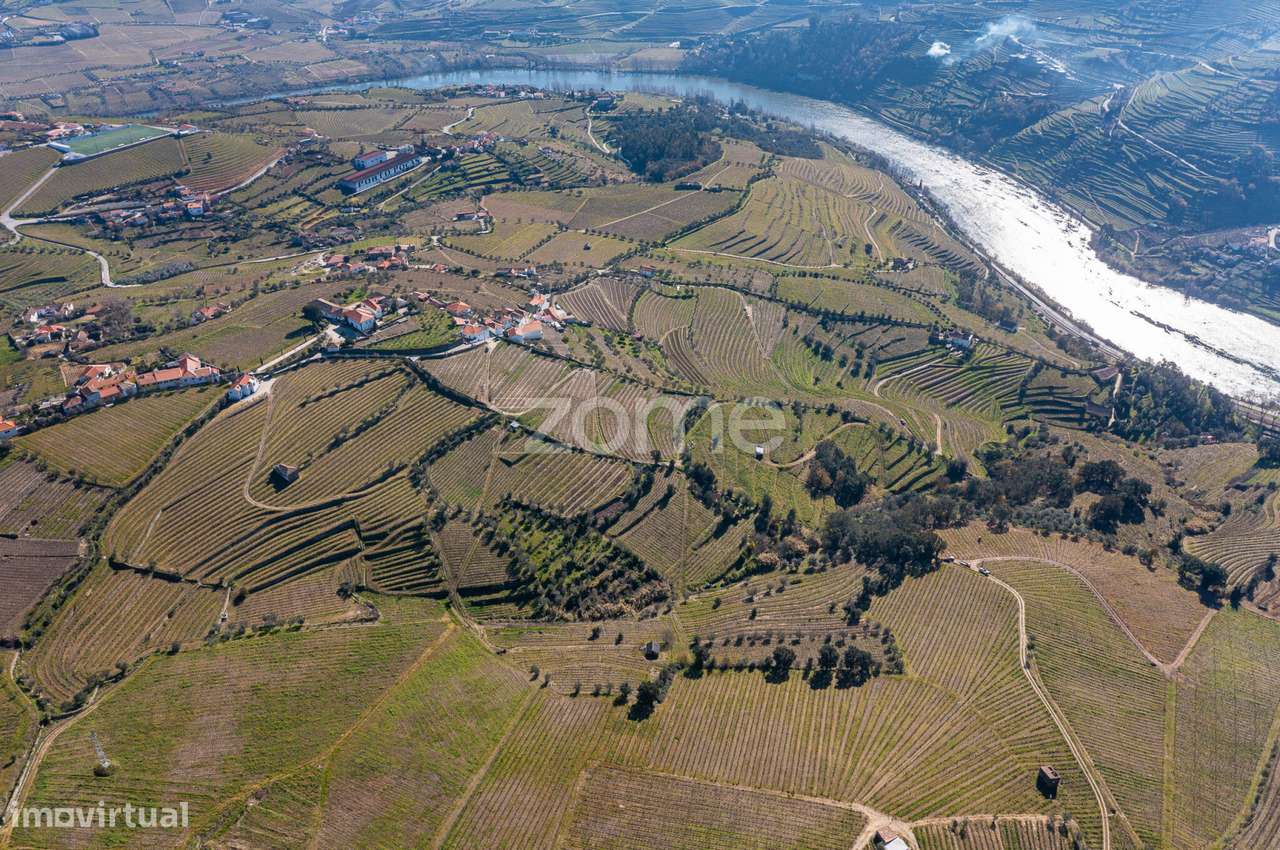 Quinta na Régua para produção vinícola - Grande imagem: 5/20