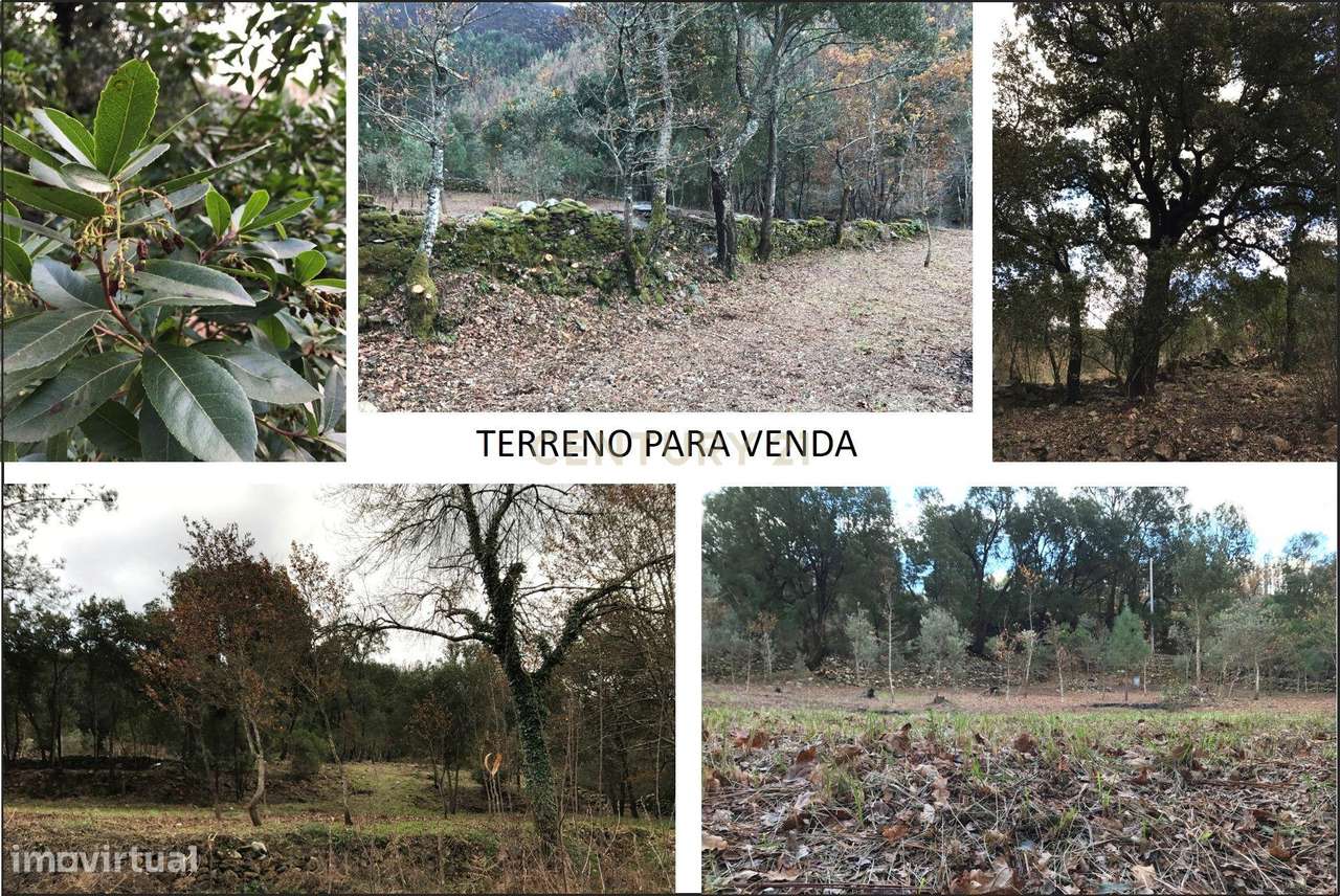 Terreno junto ao Rio Paiva - Grande imagem: 5/11