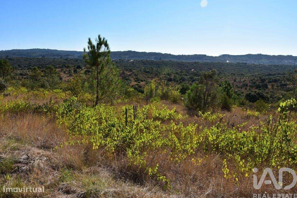 Terreno em Areias e Pias de 17000,00 m2 - Grande imagem: 4/26