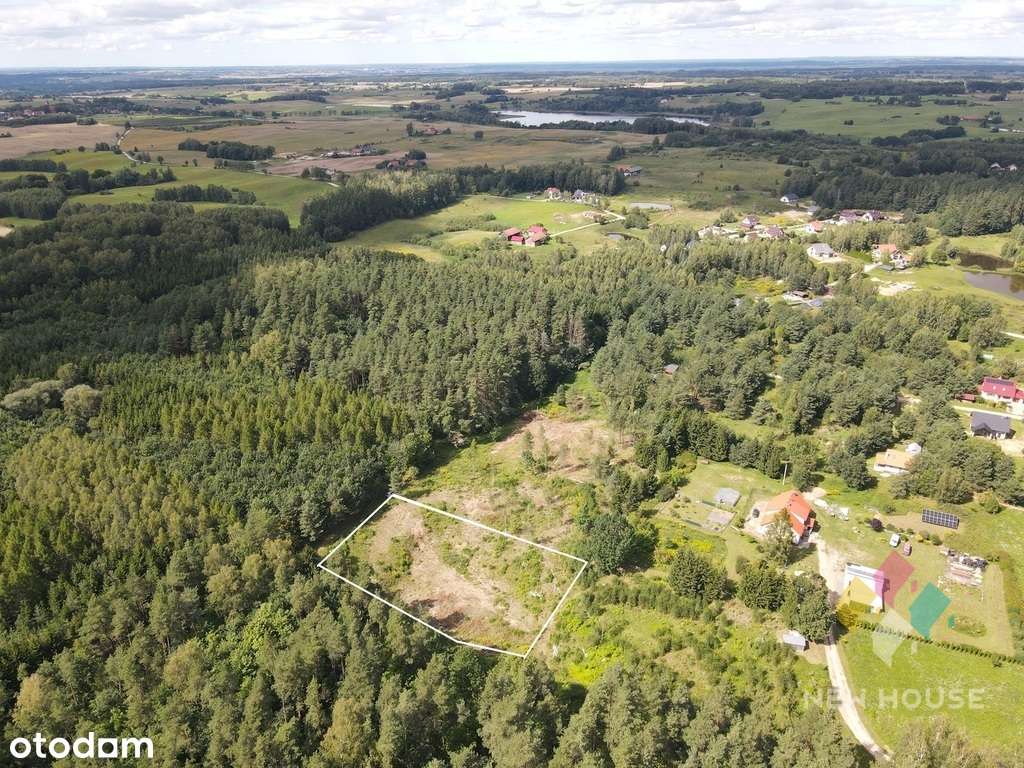 działka w sąsiedztwie lasu, z możliwością zabudowy - Pełny obrazek: 2/4