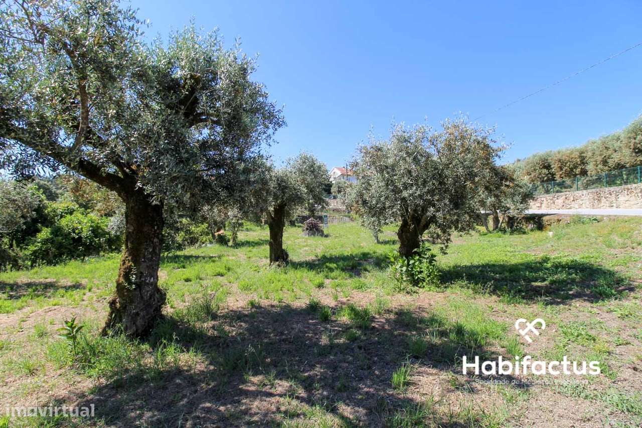 Terreno com viabilidade para construção a 9 km de Mangualde - Grande imagem: 3/6