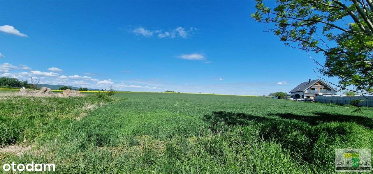 Urocza działka budowalna Lutomia Dolna-2