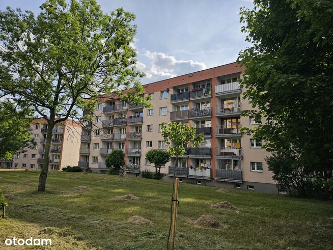 Będzin Syberka Rewolucjonistów 2 Pokoje Parter Niski Blok Balkon Termo-0