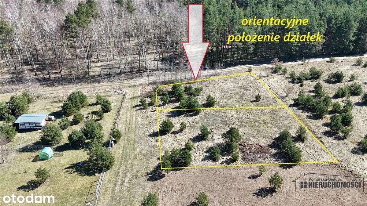 Działka pod lasem w pobliżu jeziora - Pełny obrazek: 3/20