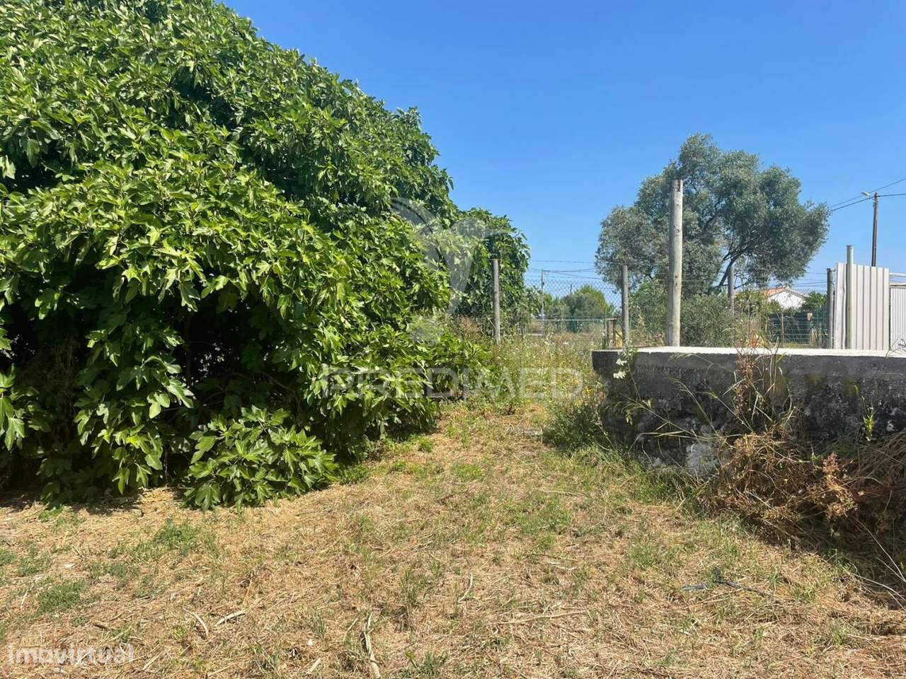 Moradia Concelho da Azambuja para remodelação - Grande imagem: 4/10