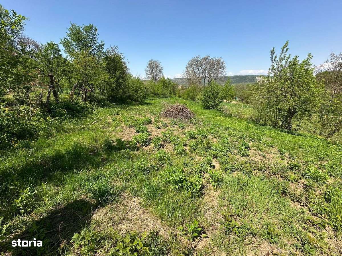 Casă DE VÂNZARE Str: Florilor Adămuș - Imagine principală: 5/19