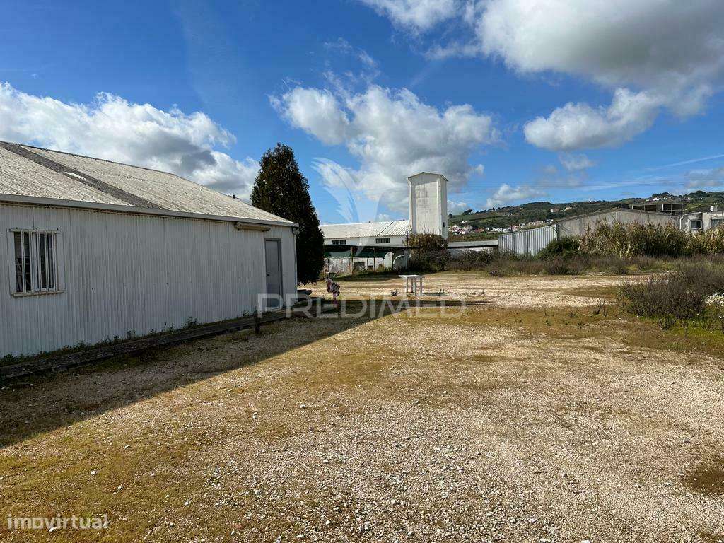 Armazém e terreno de 8.140 m² em Alenquer (Casais Novos) - Grande imagem: 5/13