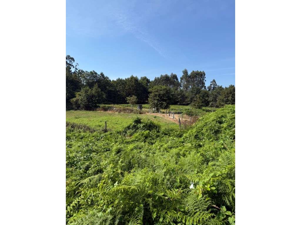 Terreno para construção em Lemenhe.-9