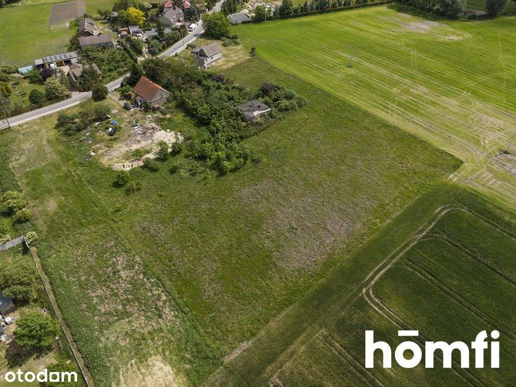 Hektarowa działka rolno-budowlana na sprzedaż! - Pełny obrazek: 5/13
