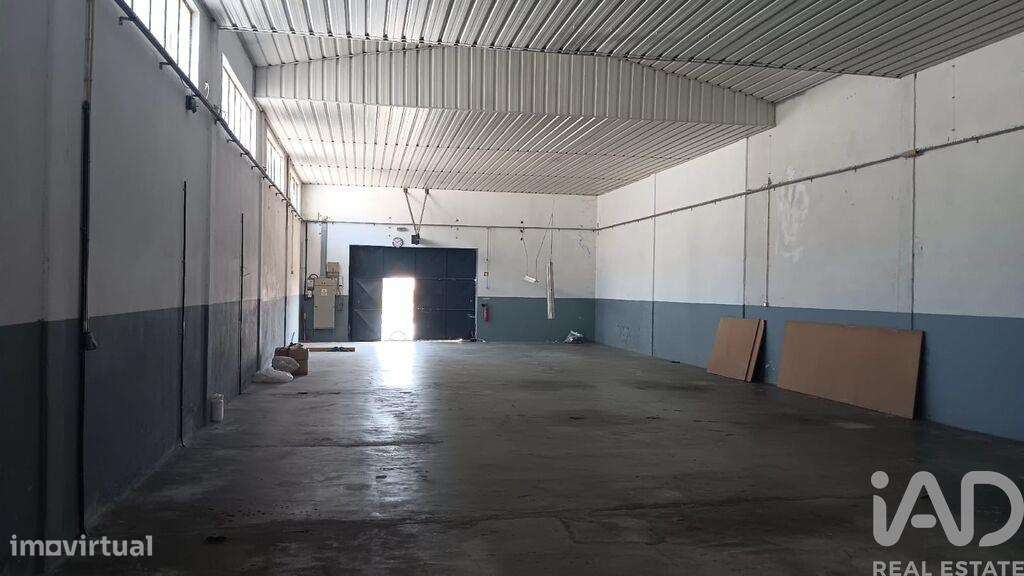 Hangar em Pedome de 300,00 m2 - Grande imagem: 4/18
